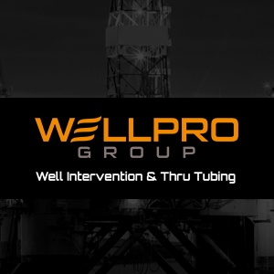 WellPro Group