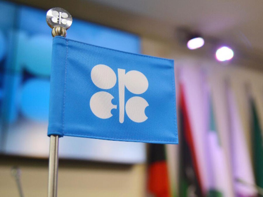 OPEC raises worries about too little investment in oil, gas