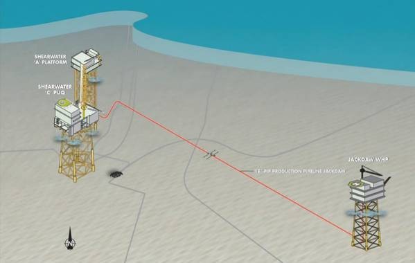 Shell plans to have Jackdaw gas field online in 2025