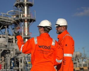 wood group
