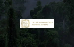 Wider Africa Energy Summit (WAES) 2025
