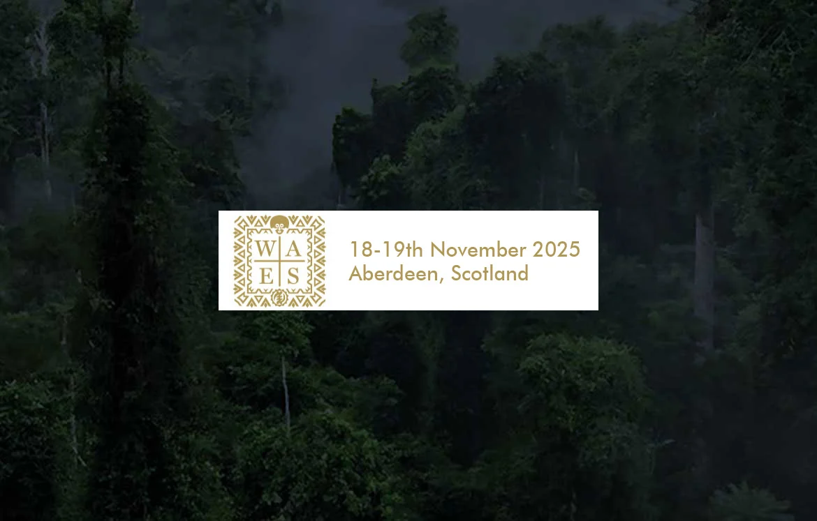 Wider Africa Energy Summit (WAES) 2025