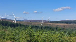 Vattenfall Celebrates a Decade of Positive Biodiversity Action in the Scottish Highlands