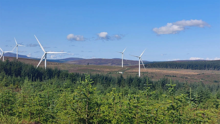 Vattenfall Celebrates a Decade of Positive Biodiversity Action in the Scottish Highlands