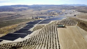 Eni-Fires-Up-New-Andalusia-Solar-Plant